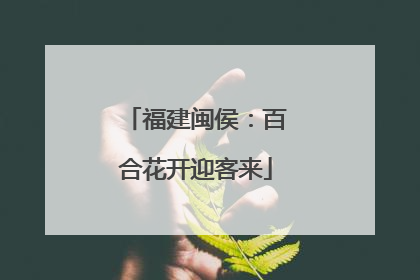 福建闽侯：百合花开迎客来