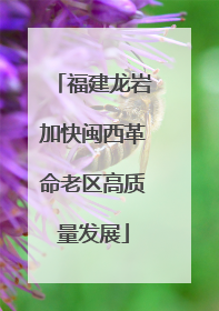福建龙岩加快闽西革命老区高质量发展