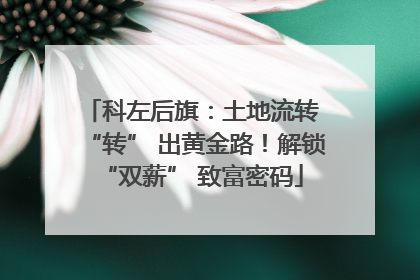 科左后旗：土地流转 “转” 出黄金路！解锁 “双薪” 致富密码