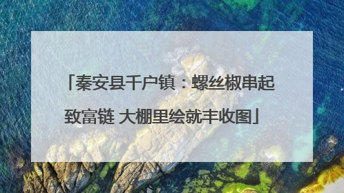 秦安县千户镇：螺丝椒串起致富链 大棚里绘就丰收图