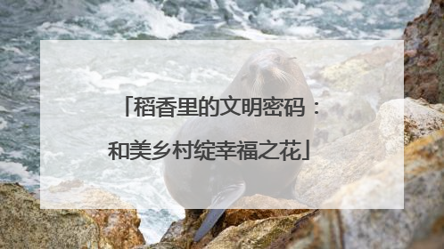 稻香里的文明密码：和美乡村绽幸福之花