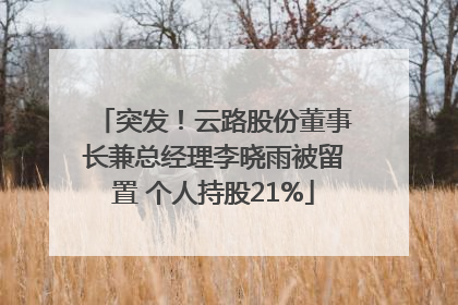 突发！云路股份董事长兼总经理李晓雨被留置 个人持股21%
