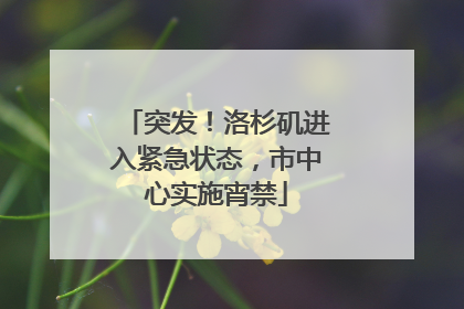 突发！洛杉矶进入紧急状态，市中心实施宵禁