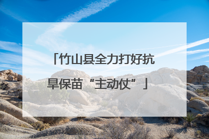 竹山县全力打好抗旱保苗“主动仗”
