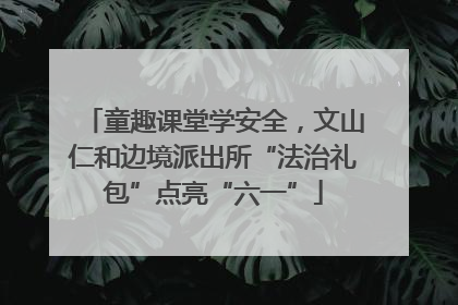 童趣课堂学安全，文山仁和边境派出所“法治礼包”点亮“六一”