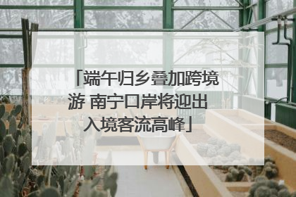 端午归乡叠加跨境游 南宁口岸将迎出入境客流高峰