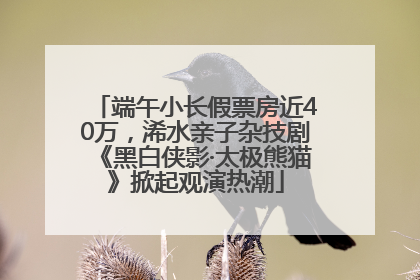 端午小长假票房近40万，浠水亲子杂技剧《黑白侠影·太极熊猫》掀起观演热潮