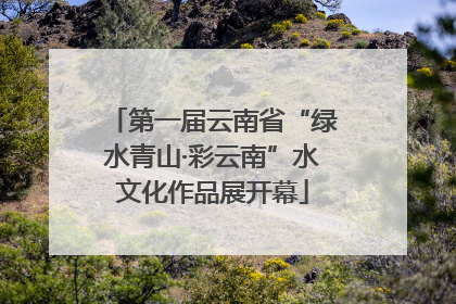 第一届云南省“绿水青山·彩云南”水文化作品展开幕