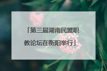 第三届湖南民盟职教论坛在衡阳举行