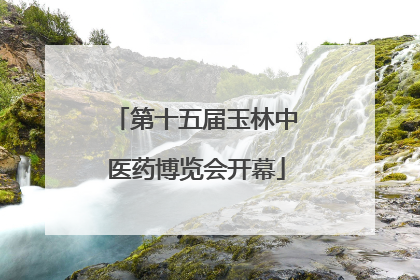 第十五届玉林中医药博览会开幕