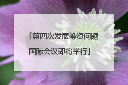 第四次发展筹资问题国际会议即将举行