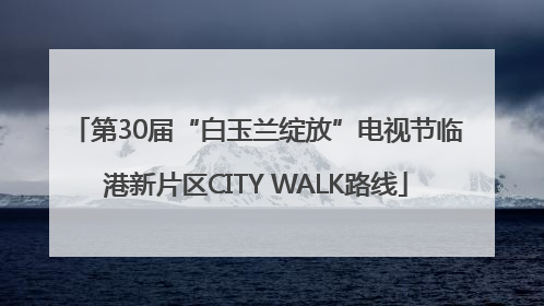 第30届“白玉兰绽放”电视节临港新片区CITY WALK路线