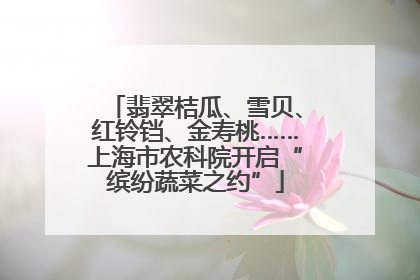 翡翠桔瓜、雪贝、红铃铛、金寿桃……上海市农科院开启“缤纷蔬菜之约”