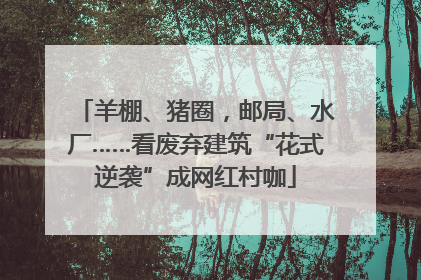 羊棚、猪圈，邮局、水厂……看废弃建筑“花式逆袭”成网红村咖