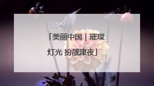 美丽中国｜璀璨灯光 扮靓津夜