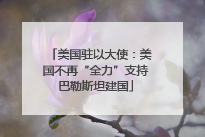 美国驻以大使：美国不再“全力”支持巴勒斯坦建国