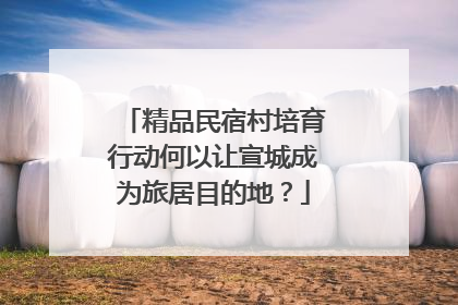精品民宿村培育行动何以让宣城成为旅居目的地？