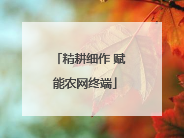 精耕细作 赋能农网终端