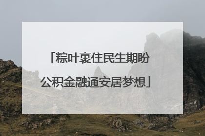 粽叶裹住民生期盼 公积金融通安居梦想