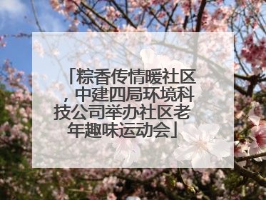 粽香传情暖社区，中建四局环境科技公司举办社区老年趣味运动会