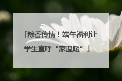 粽香传情！端午福利让学生直呼“家温暖”