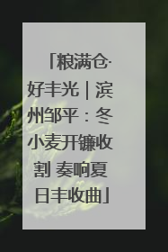 粮满仓·好丰光｜滨州邹平：冬小麦开镰收割 奏响夏日丰收曲