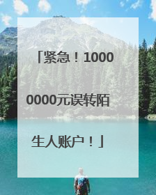 紧急！10000000元误转陌生人账户！
