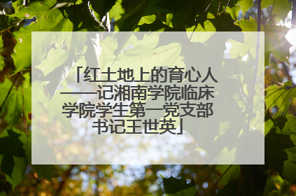 红土地上的育心人——记湘南学院临床学院学生第一党支部书记王世英