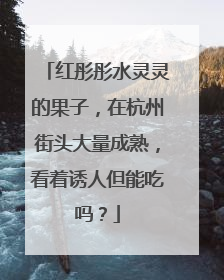 红彤彤水灵灵的果子，在杭州街头大量成熟，看着诱人但能吃吗？