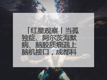 红星观察丨当孤独症、阿尔茨海默病、脑胶质瘤遇上脑机接口，成都科研改变医学图景