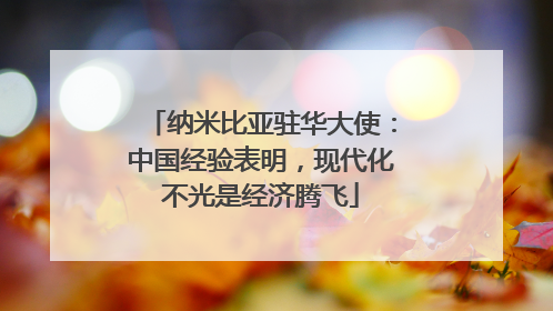 纳米比亚驻华大使：中国经验表明，现代化不光是经济腾飞