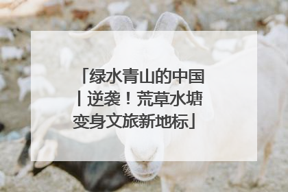 绿水青山的中国丨逆袭！荒草水塘变身文旅新地标