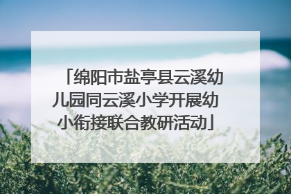 绵阳市盐亭县云溪幼儿园同云溪小学开展幼小衔接联合教研活动