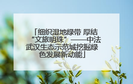 细织湿地绿带 厚结“文旅明珠”——中法武汉生态示范城挖掘绿色发展新动能