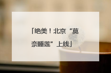 绝美！北京“莫奈睡莲”上线