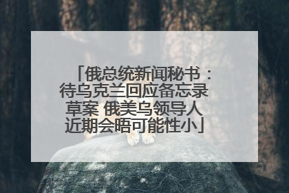 俄总统新闻秘书：待乌克兰回应备忘录草案 俄美乌领导人近期会晤可能性小
