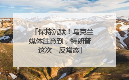 保持沉默！乌克兰媒体注意到，特朗普这次一反常态