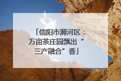 信阳市浉河区：万亩茶庄园飘出“三产融合”香