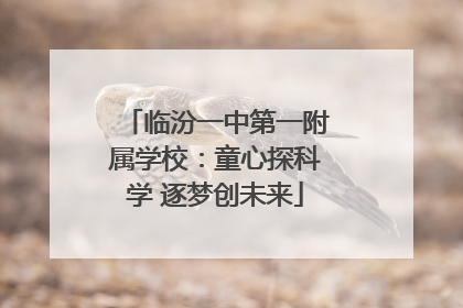 临汾一中第一附属学校：童心探科学 逐梦创未来