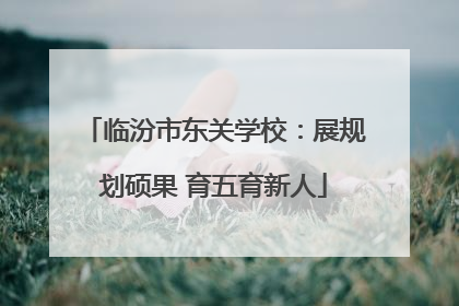 临汾市东关学校：展规划硕果 育五育新人