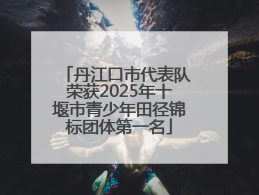 丹江口市代表队荣获2025年十堰市青少年田径锦标团体第一名