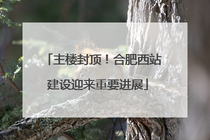 主楼封顶！合肥西站建设迎来重要进展