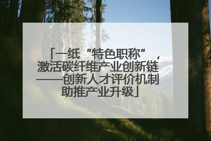 一纸“特色职称”，激活碳纤维产业创新链——创新人才评价机制 助推产业升级