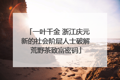 一叶千金 浙江庆元新的社会阶层人士破解荒野茶致富密码