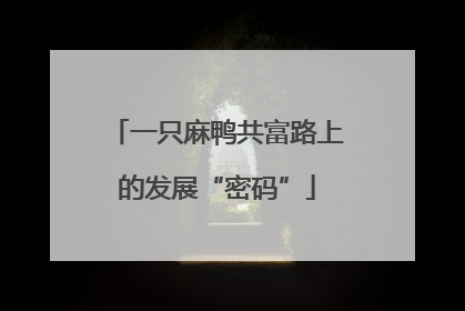 一只麻鸭共富路上的发展“密码”