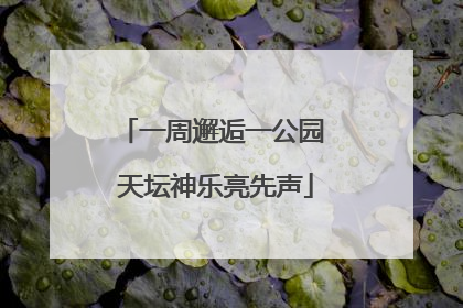 一周邂逅一公园 天坛神乐亮先声