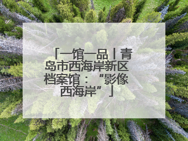 一馆一品丨青岛市西海岸新区档案馆：“影像西海岸”