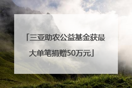 三亚助农公益基金获最大单笔捐赠50万元