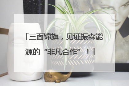 三面锦旗，见证振森能源的“非凡合作”！