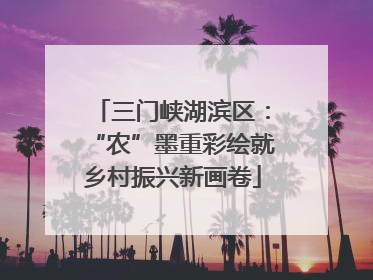 三门峡湖滨区：“农”墨重彩绘就乡村振兴新画卷